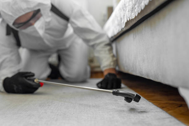 Professional Bed Bug Control technician working in Vergennes, VT