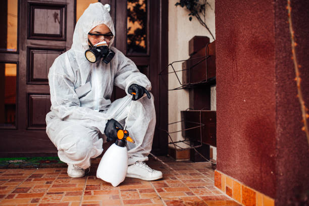 Reliable Bed Bug Control contractor in Vergennes, VT by Nex Pest Control