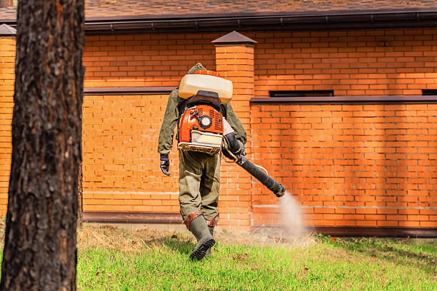 Trusted Termite Control service in Vergennes, VT - Nex Pest Control